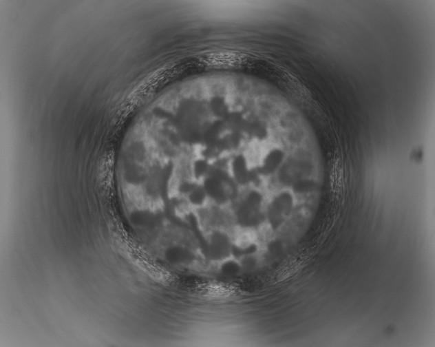 X0000116040737200912111439