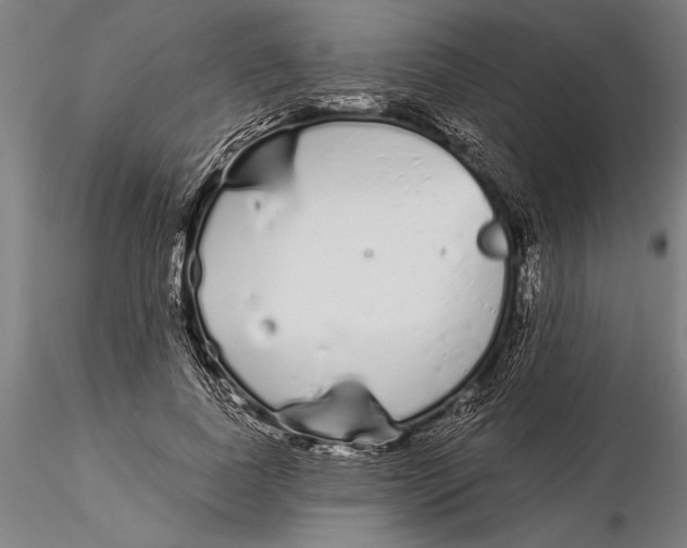 X0000116040739200912111439