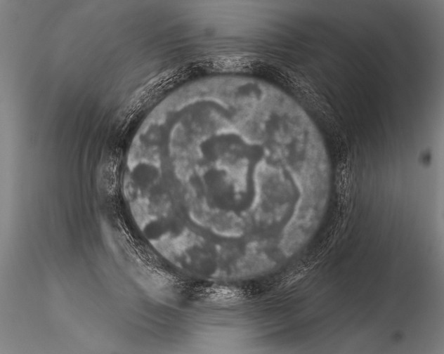 X0000116040741200912111439