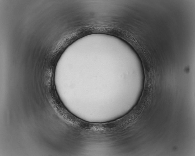 X0000116040742200912111439