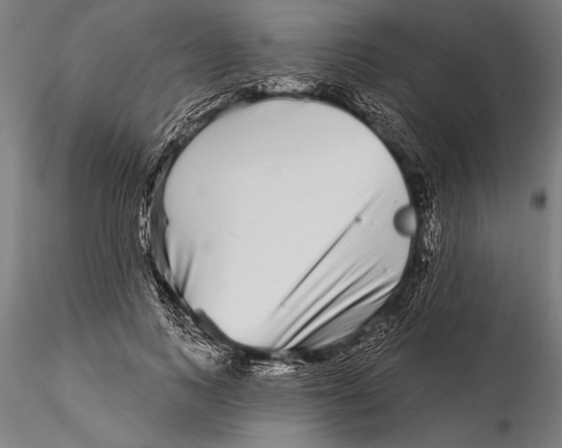 X0000116040743200912111439