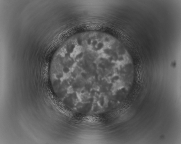 X0000116040745200912111439