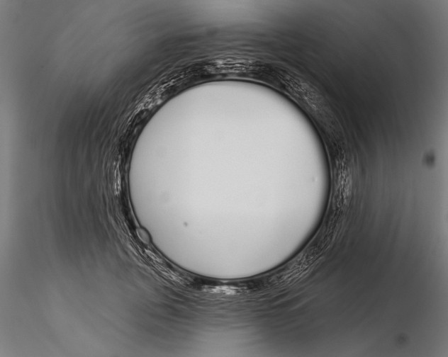 X0000116040751200912111439