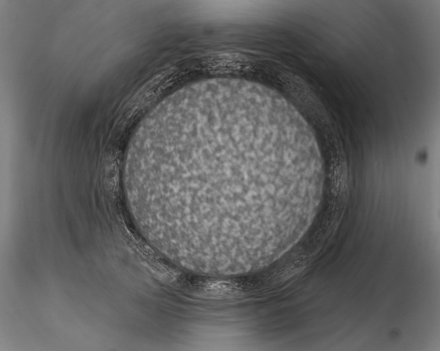 X0000116040753200912111439