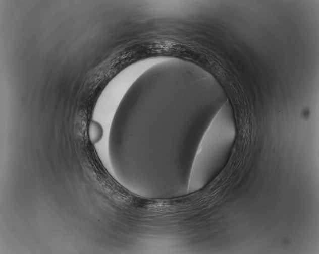 X0000116040754200912111439