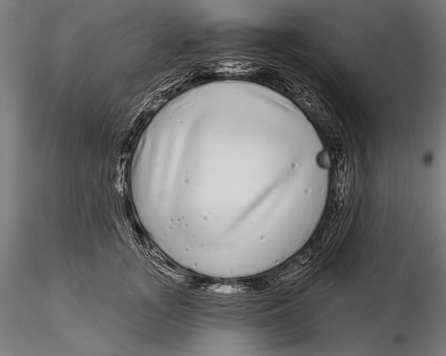 X0000116040755200912111439