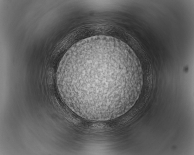 X0000116040757200912111439