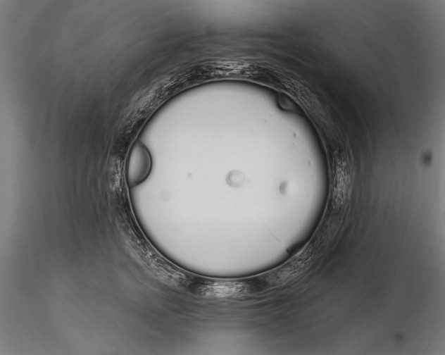 X0000116040758200912111439