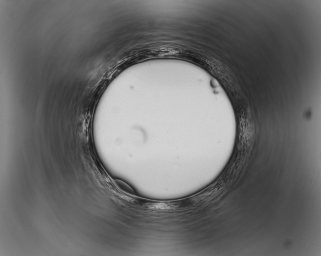 X0000116040759200912111439