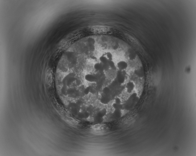 X0000116040761200912111439