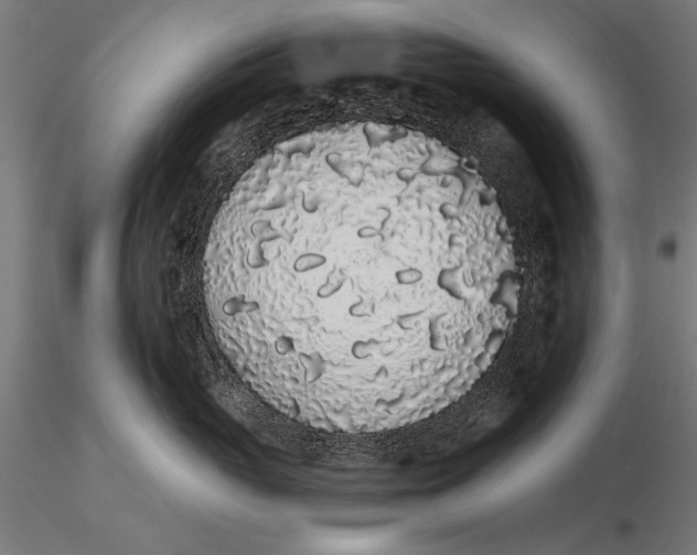 X0000116040765200912111439