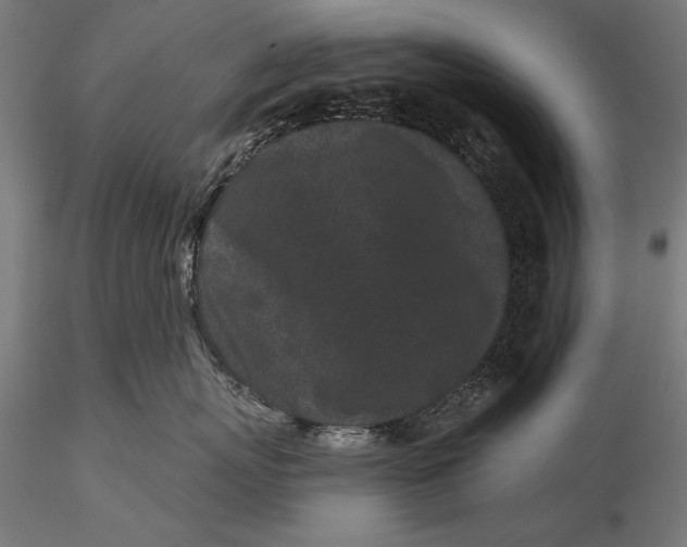 X0000116040767200912111439