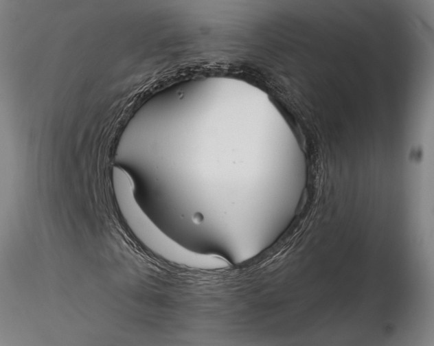 X0000116040769200912111439