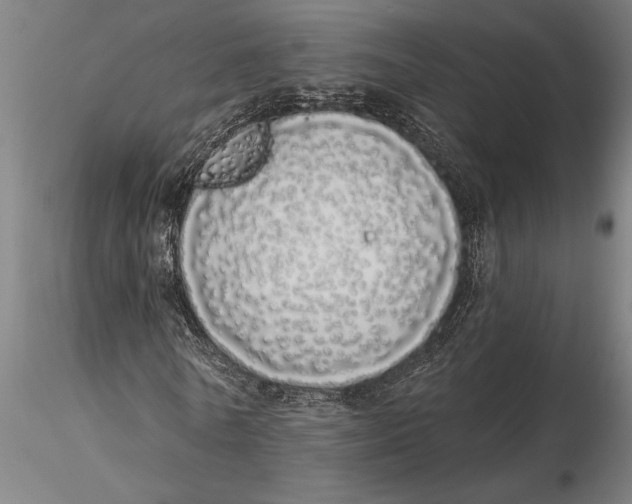 X0000116040770200912111439