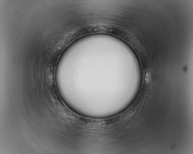 X0000116040771200912111439