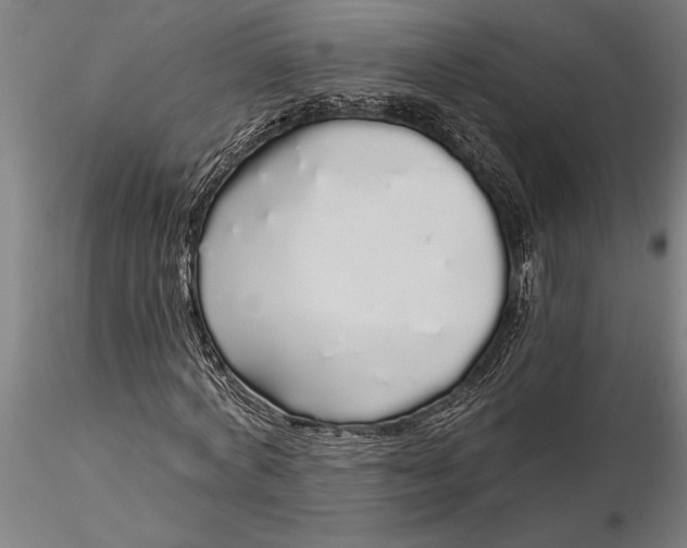 X0000116040772200912111439