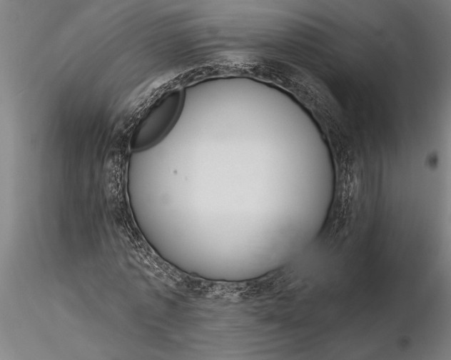 X0000116040773200912111439