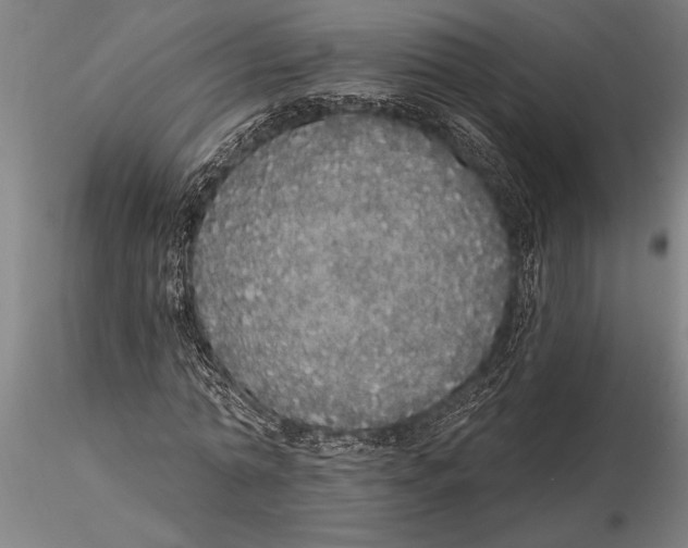 X0000116040774200912111439