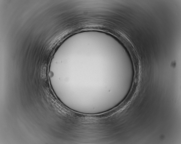 X0000116040777200912111438