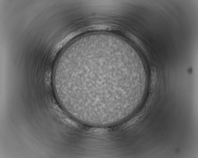 X0000116040778200912111438