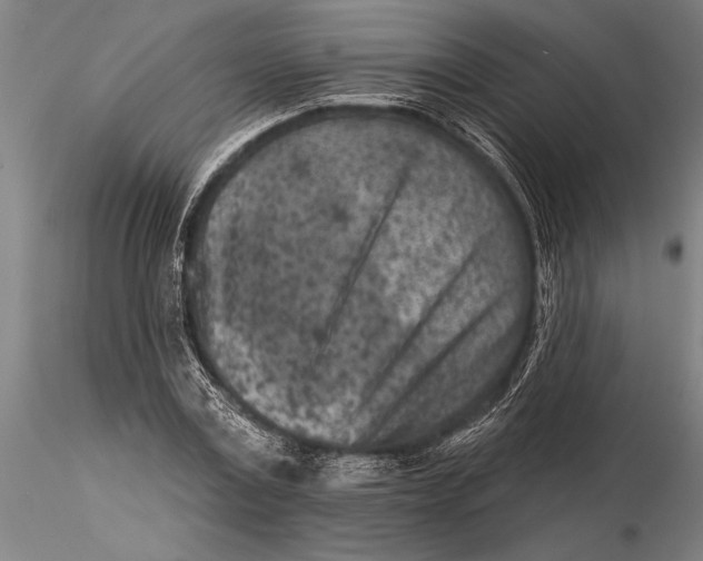 X0000116040779200912111438