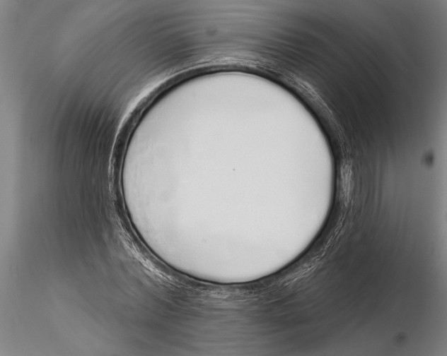 X0000116040780200912111438