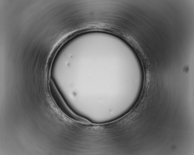 X0000116040784200912111438