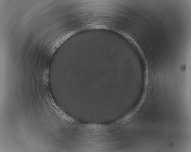 X0000116040785200912111438