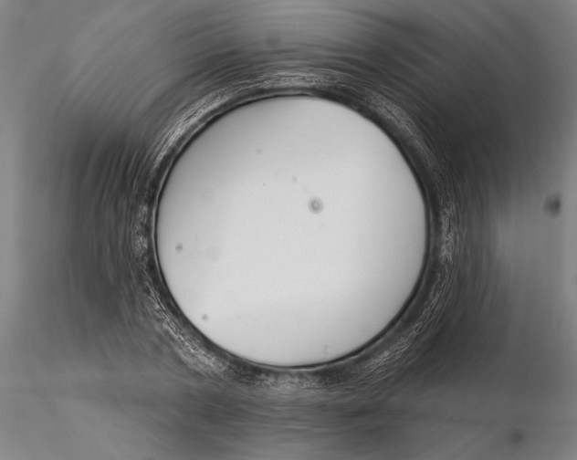 X0000116040786200912111438