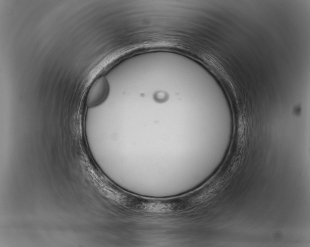 X0000116040789200912111438