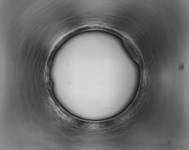 X0000116040791200912111438