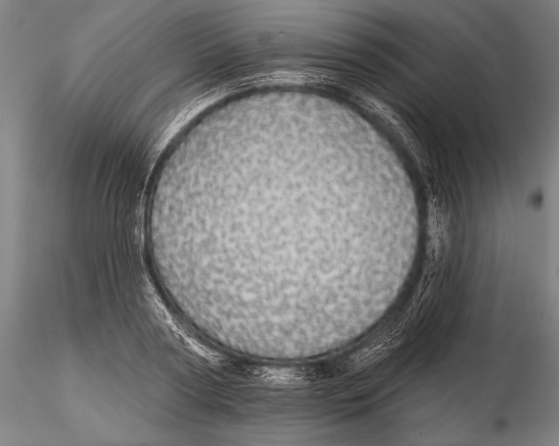 X0000116040794200912111438