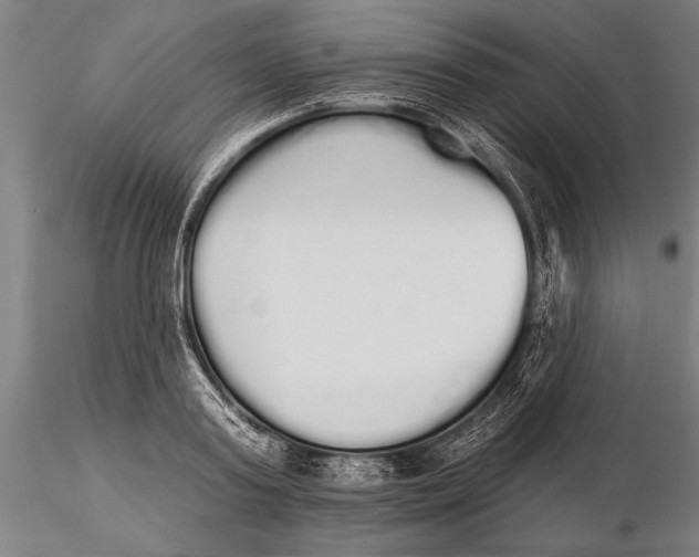 X0000116040795200912111438