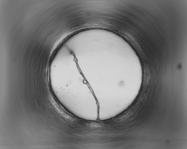 X0000116040796200912111438