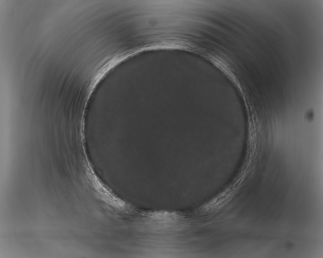 X0000116040797200912111438