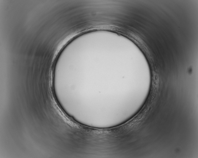 X0000116040804200912111438