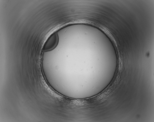 X0000116040805200912111438