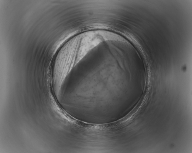 X0000116040806200912111438