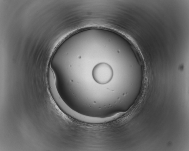 X0000116040807200912111438