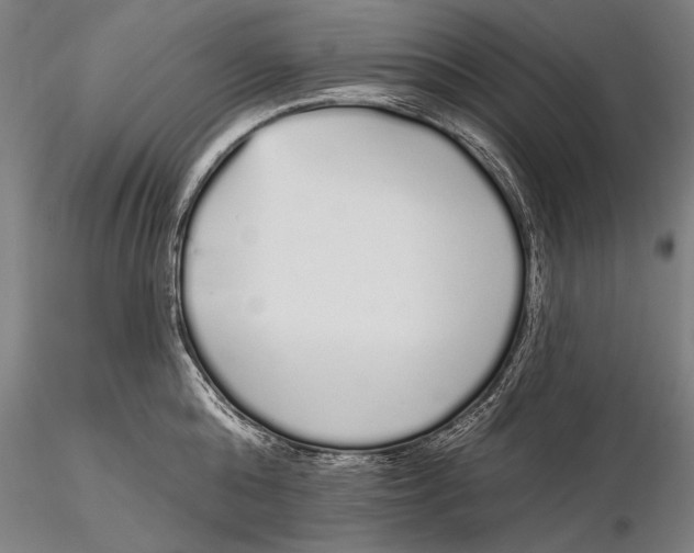 X0000116040808200912111438