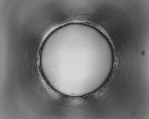 X0000116040811200912111438