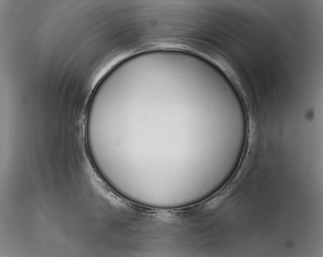 X0000116040814200912111438