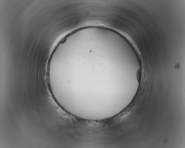 X0000116040815200912111438