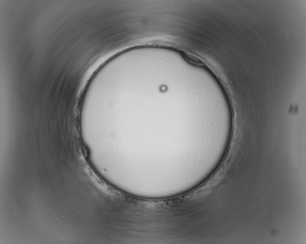 X0000116040816200912111438