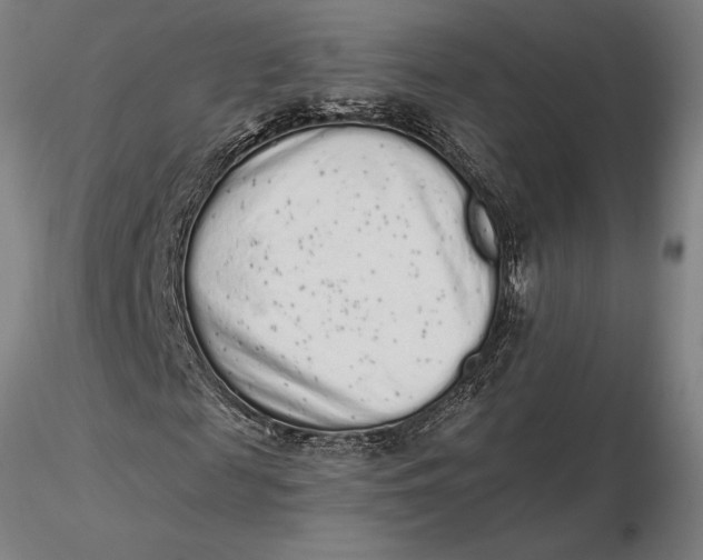 X0000116040817200912111437