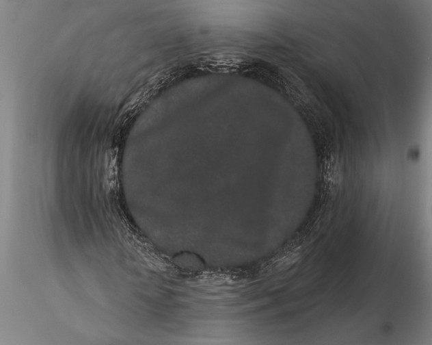 X0000116040818200912111437