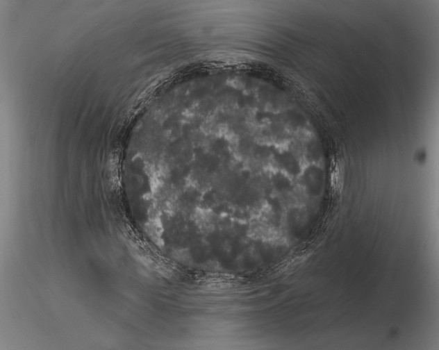 X0000116040819200912111437