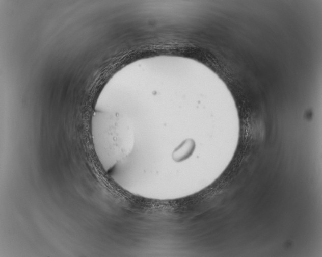 X0000116040820200912111437