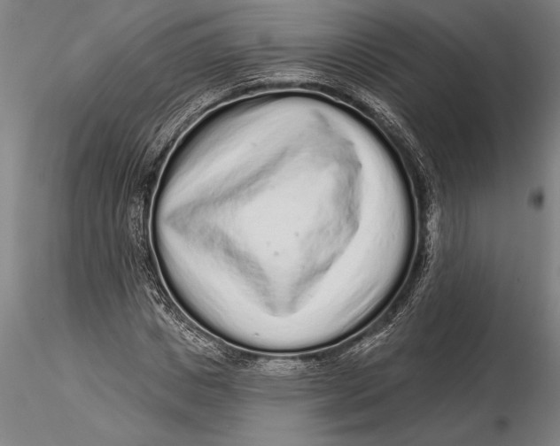 X0000116040825200912111437