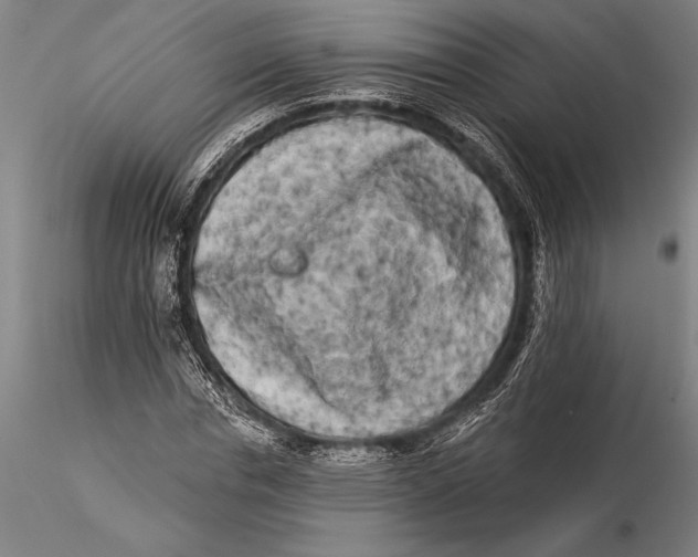 X0000116040826200912111437